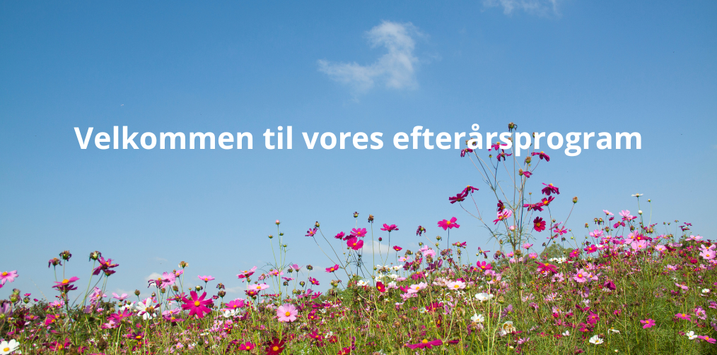 Forside Til Hjemmeside