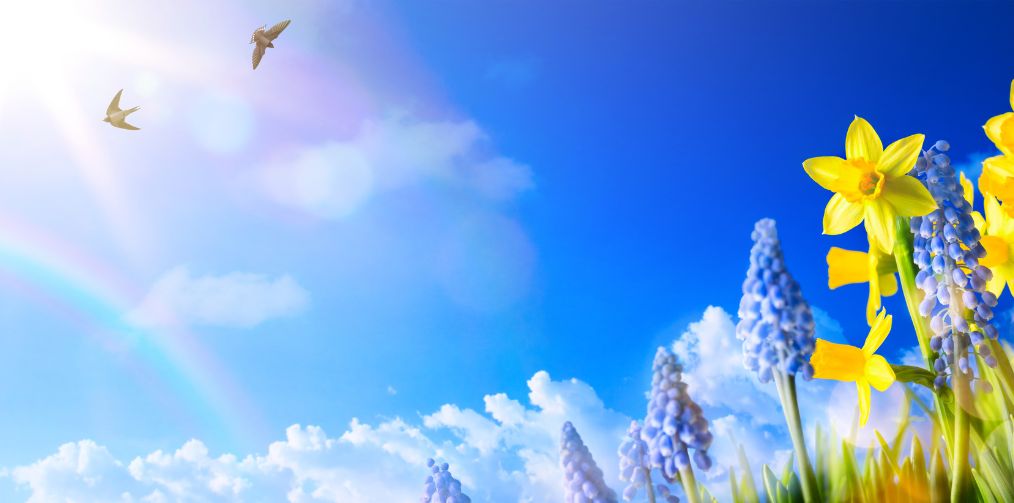 Header billede forår 