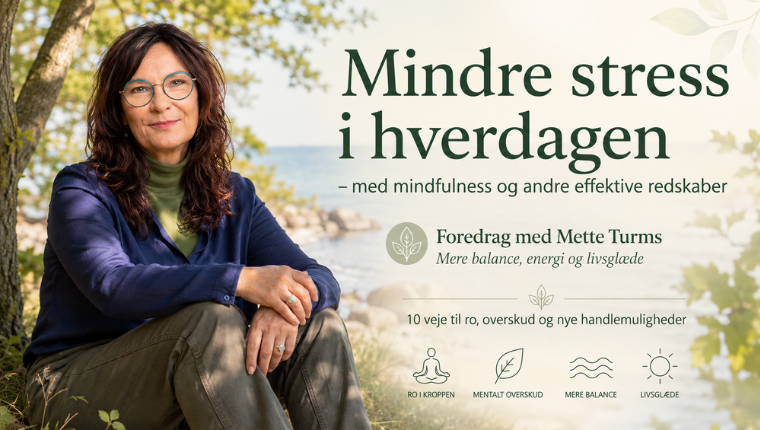 Mindre stress i hverdagen - med mindfulness og andre effektive redskaber