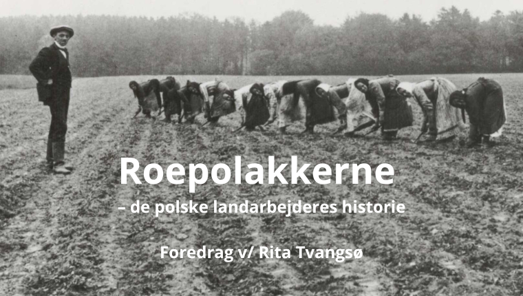 roepolakkerne