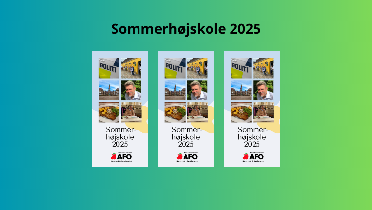 Sommerhøjskole