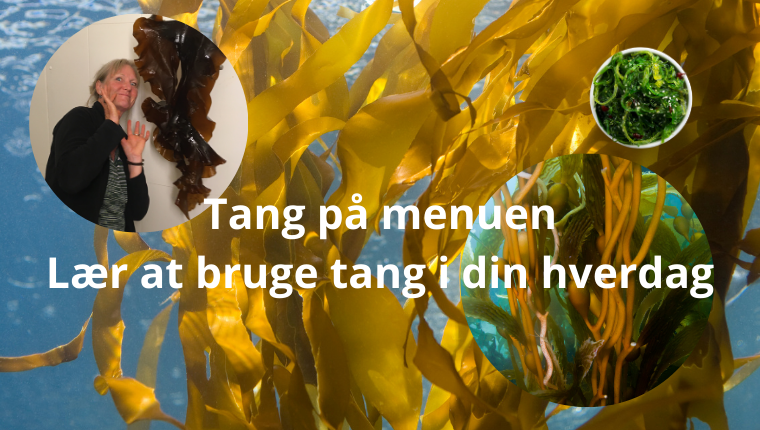 Tang på menuen - lær at bruge tang i din hverdag